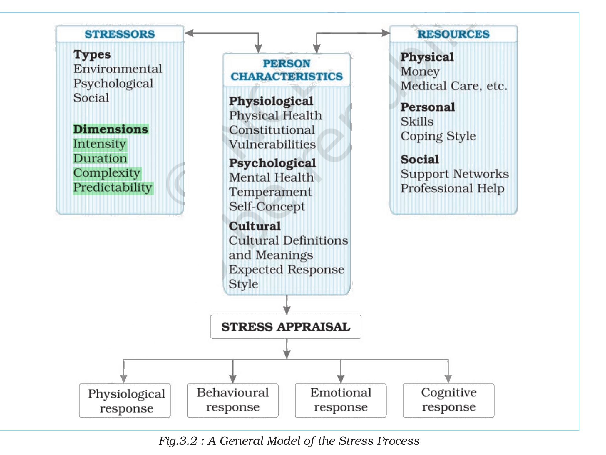 NCERT extract