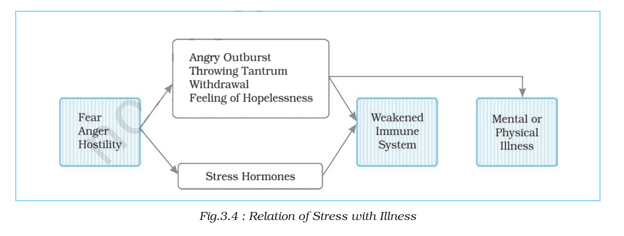 NCERT extract
