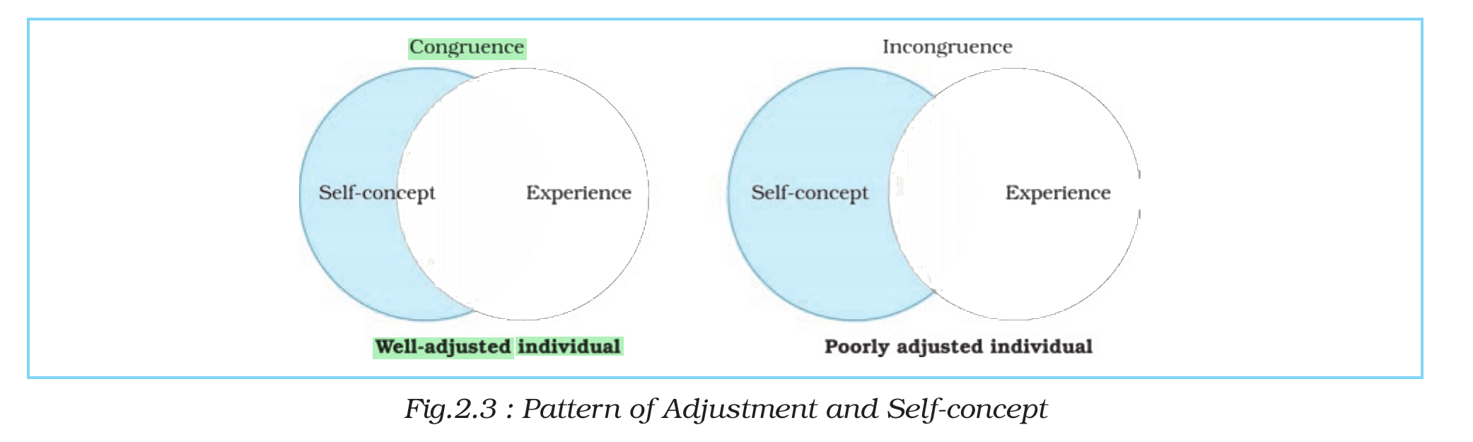 NCERT extract