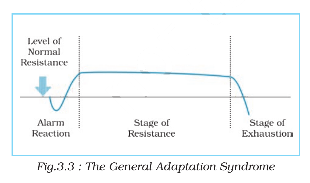NCERT extract