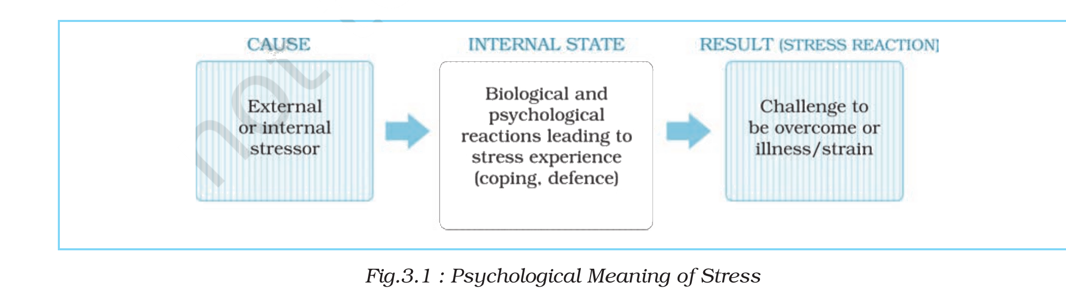 NCERT extract