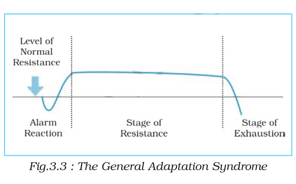 NCERT extract