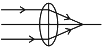 Figure for option 1