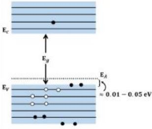 Figure for the question