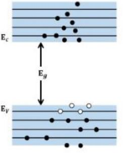 Figure for the question