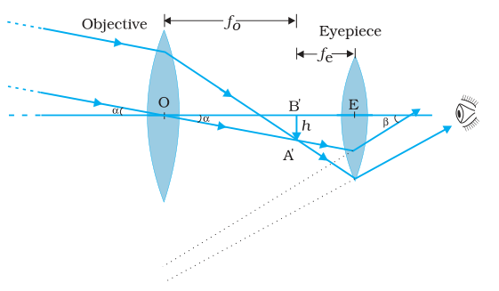 Textbook figure