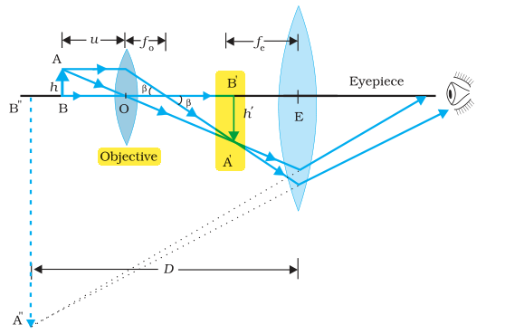 Textbook figure