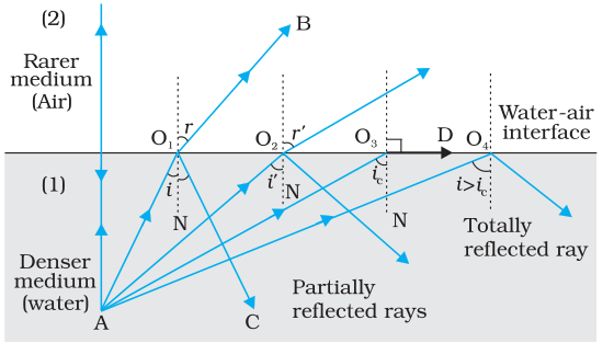 Textbook figure