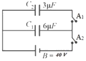 Figure for the question
