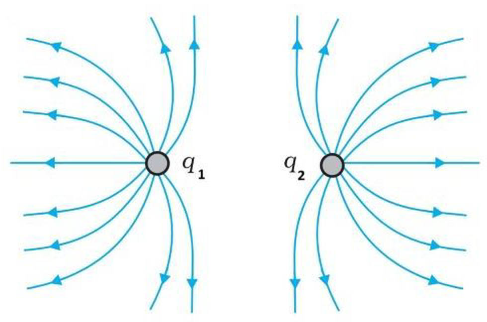 Figure for the question