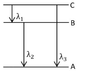 Figure for the question